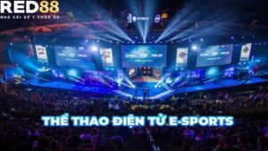 Cá Cược Esport RED88: Địa Điểm Cá Cược Thể Thao Uy Tín