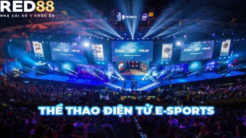 Cá Cược Esport RED88: Địa Điểm Cá Cược Thể Thao Uy Tín