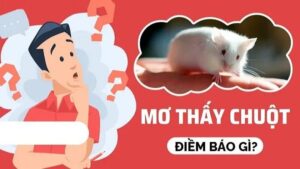 Các trường hợp nằm mơ thấy chuột phổ biến và điềm báo
