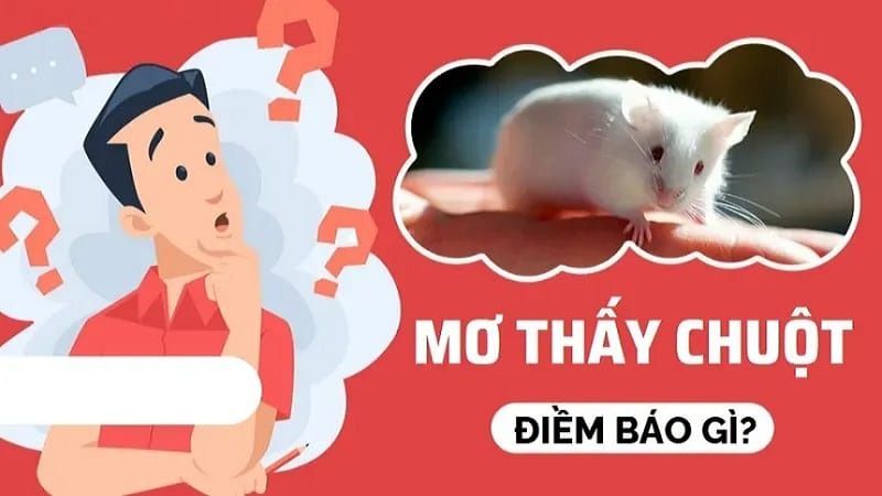 Các trường hợp nằm mơ thấy chuột phổ biến và điềm báo