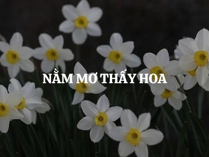 Nằm mơ thấy hoa đánh số gì chuẩn nhất?
